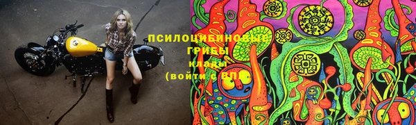 метадон Медвежьегорск